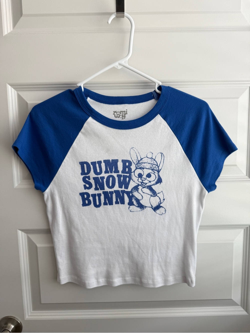 Remi Wolf Dumb Snow Bunny Crop Raglan T-Shirt Large Blue White Artist Merch